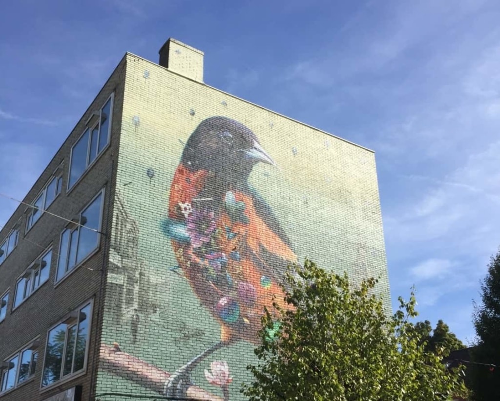Nimwegen hat so manchen schrägen Vogel zu bieten.