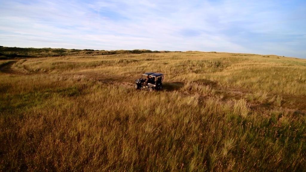 Ökosafari auf Ameland