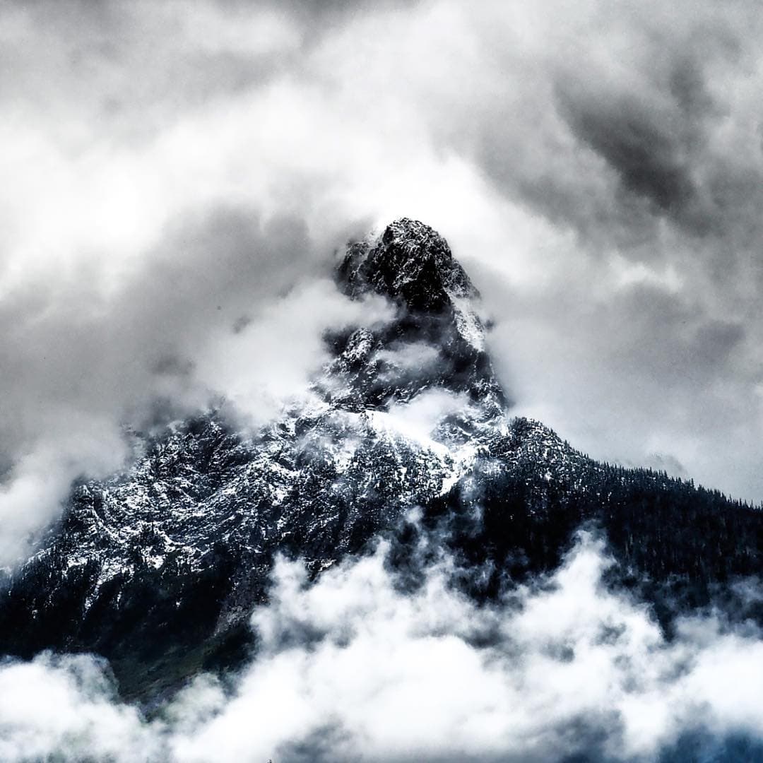 Verliebt in den Nebel von #britishcolumbia. Bald mehr zu lesen in der neuen Ausgabe.  #kanada #reportervorort