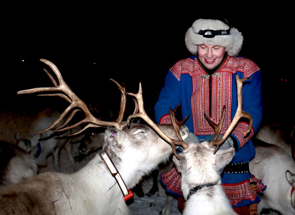 Rentierfütterung in Norwegen