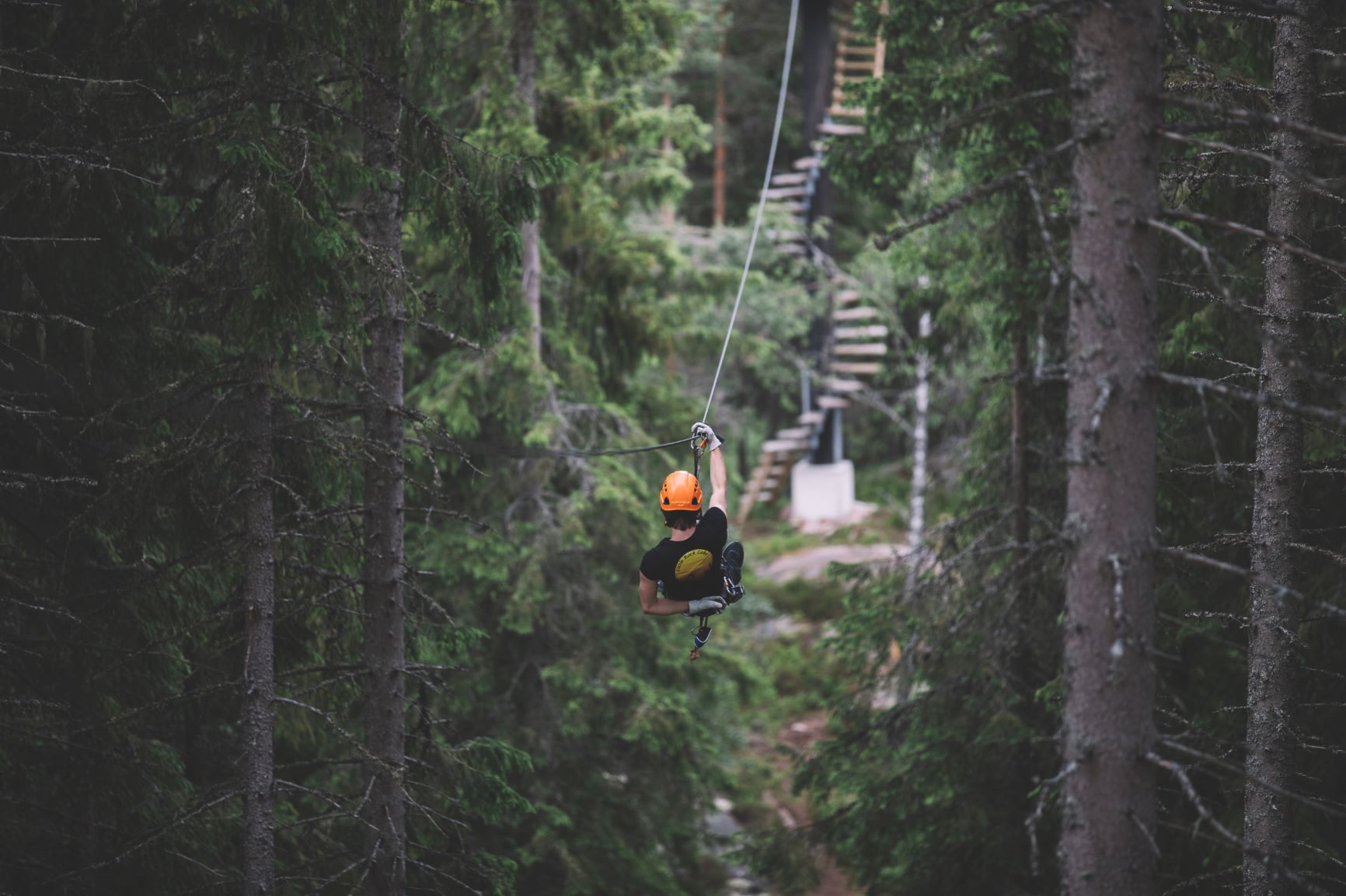 Little Rock Lake Zipline