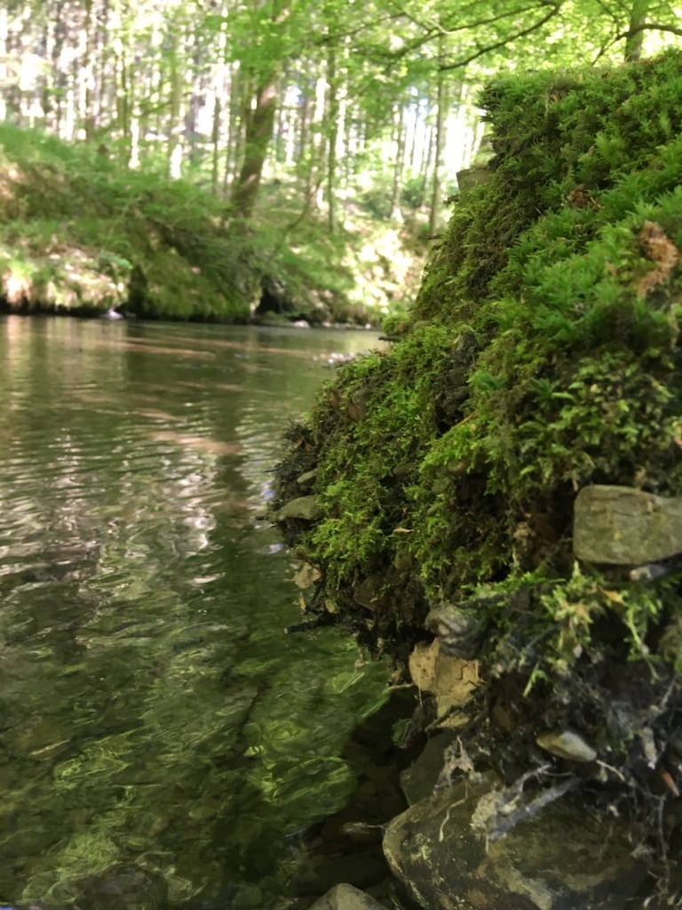 Eifgenbach im Bergischen Land
