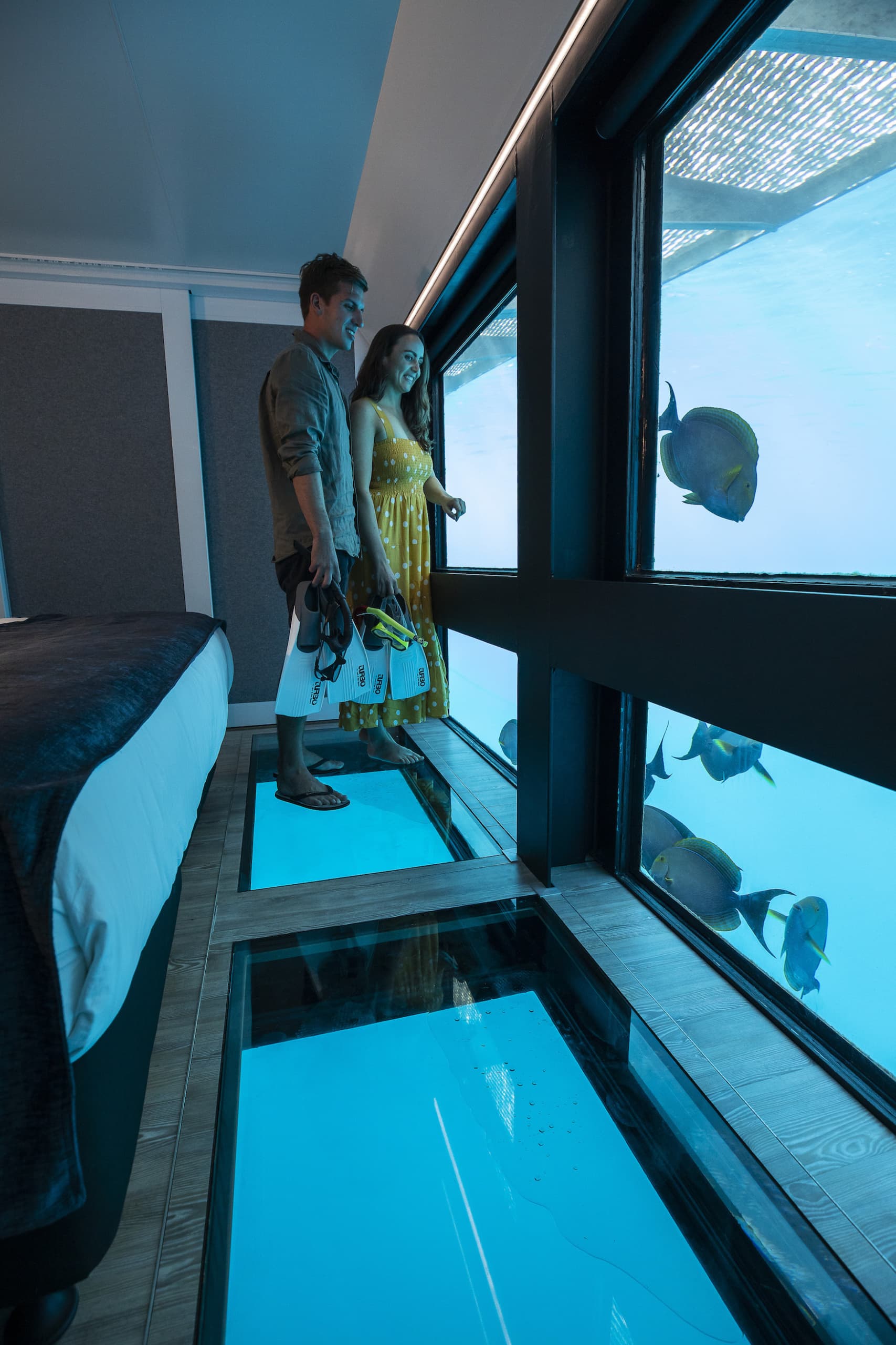 Paar schaut sich aus der Unterwassr-Suite der Reefsuites auf den Whitsundays Fische an