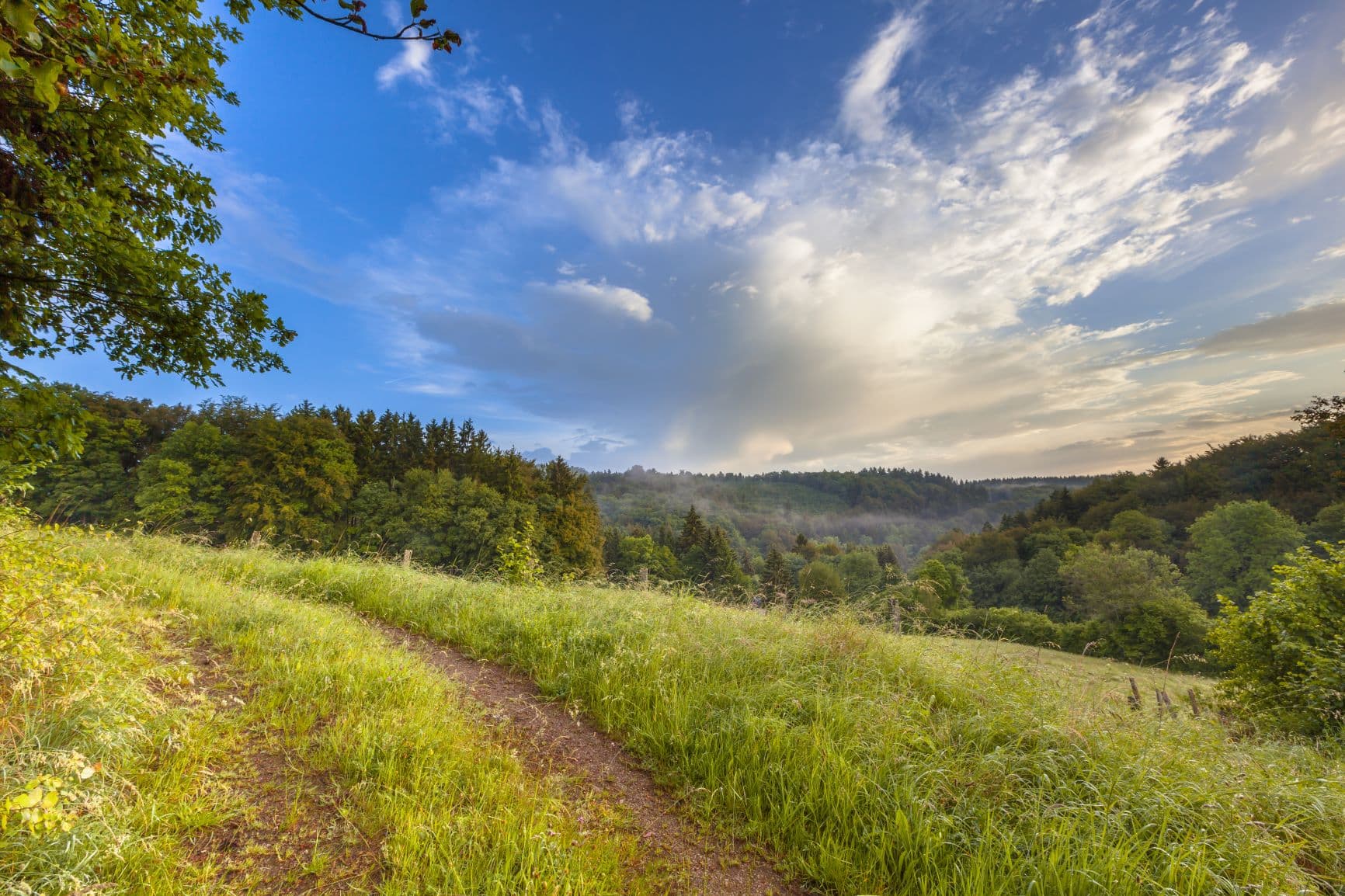 Wanderweg in Ripsdorf in der Eifel