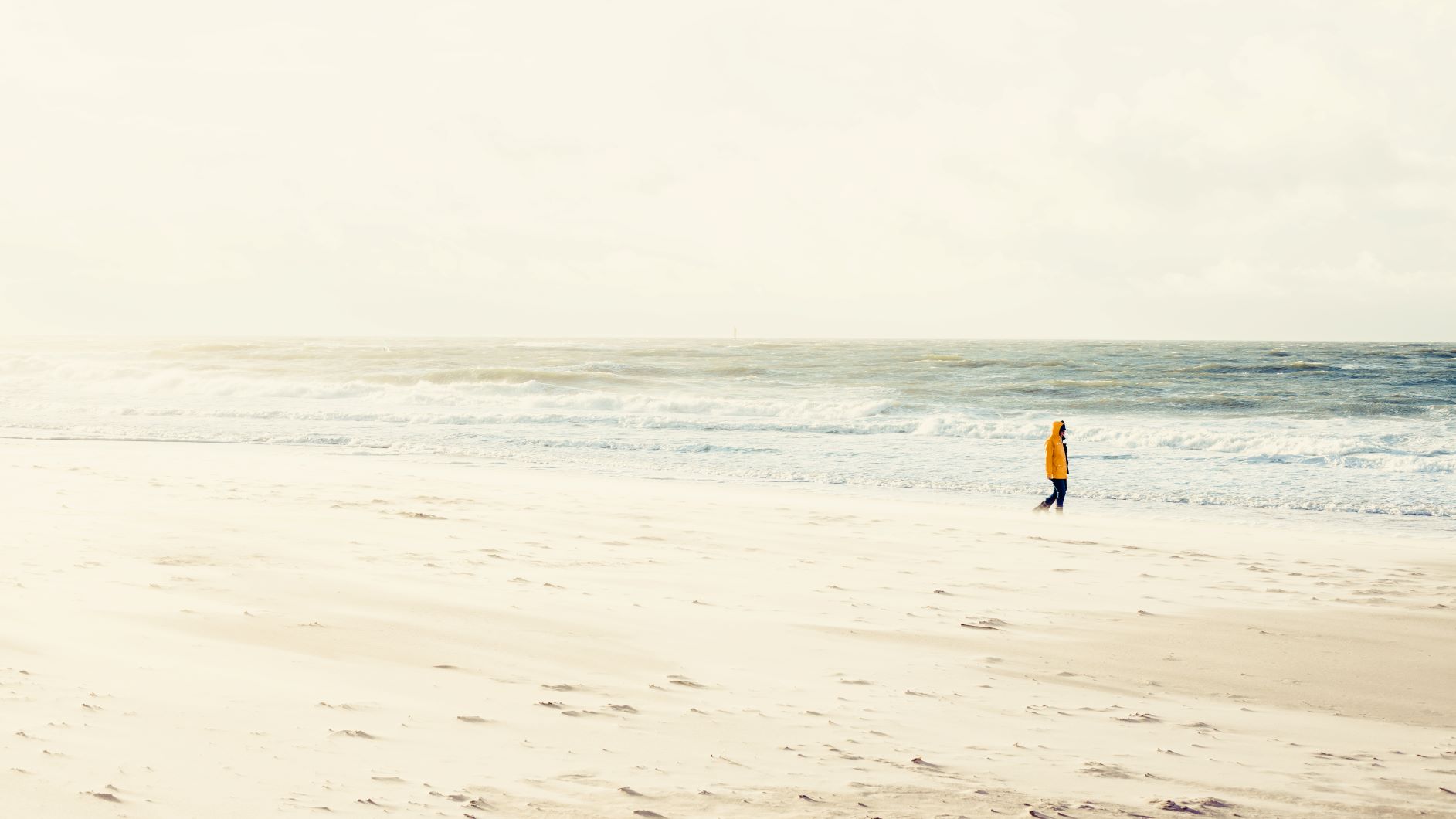 Spaziergänger am Strand auf Sylt