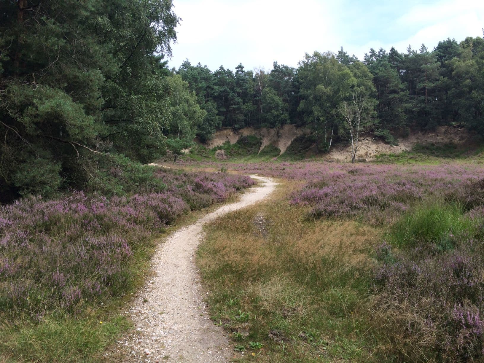 Wanderweg im Naturpark Maas Schwalm Nette