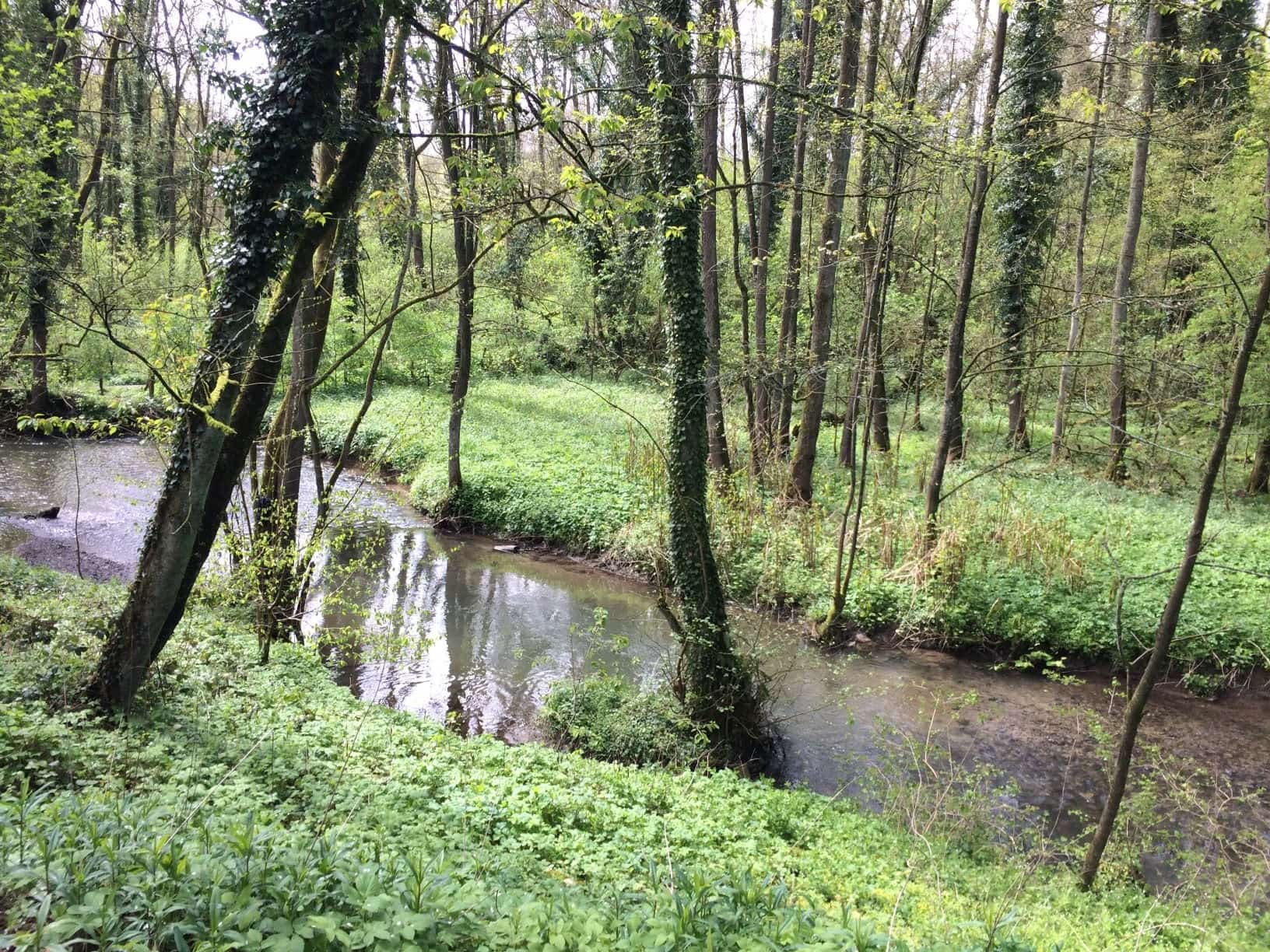 Fluss im Neandertal in NRW