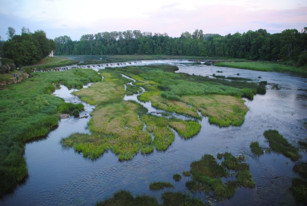 Natur im Baltikum