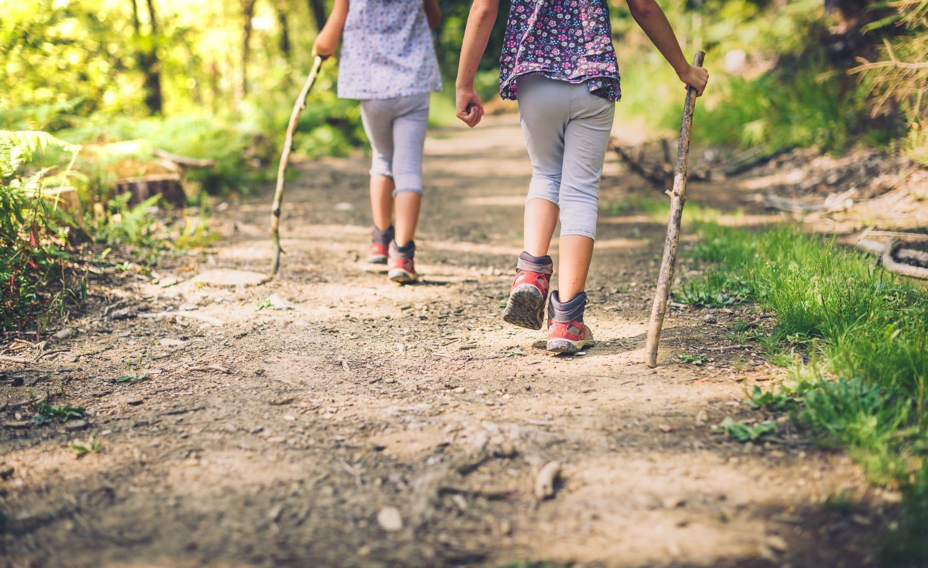 Kinder mit Stock im Wald beim Wandern