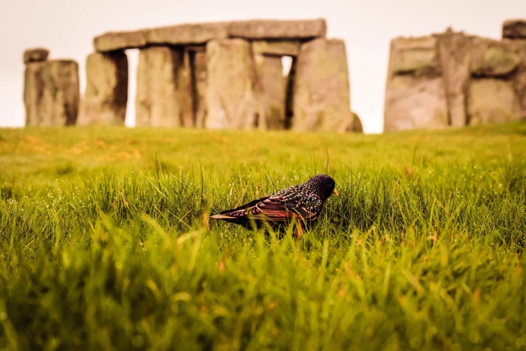 Unesco-Welterbestätte Stonehenge