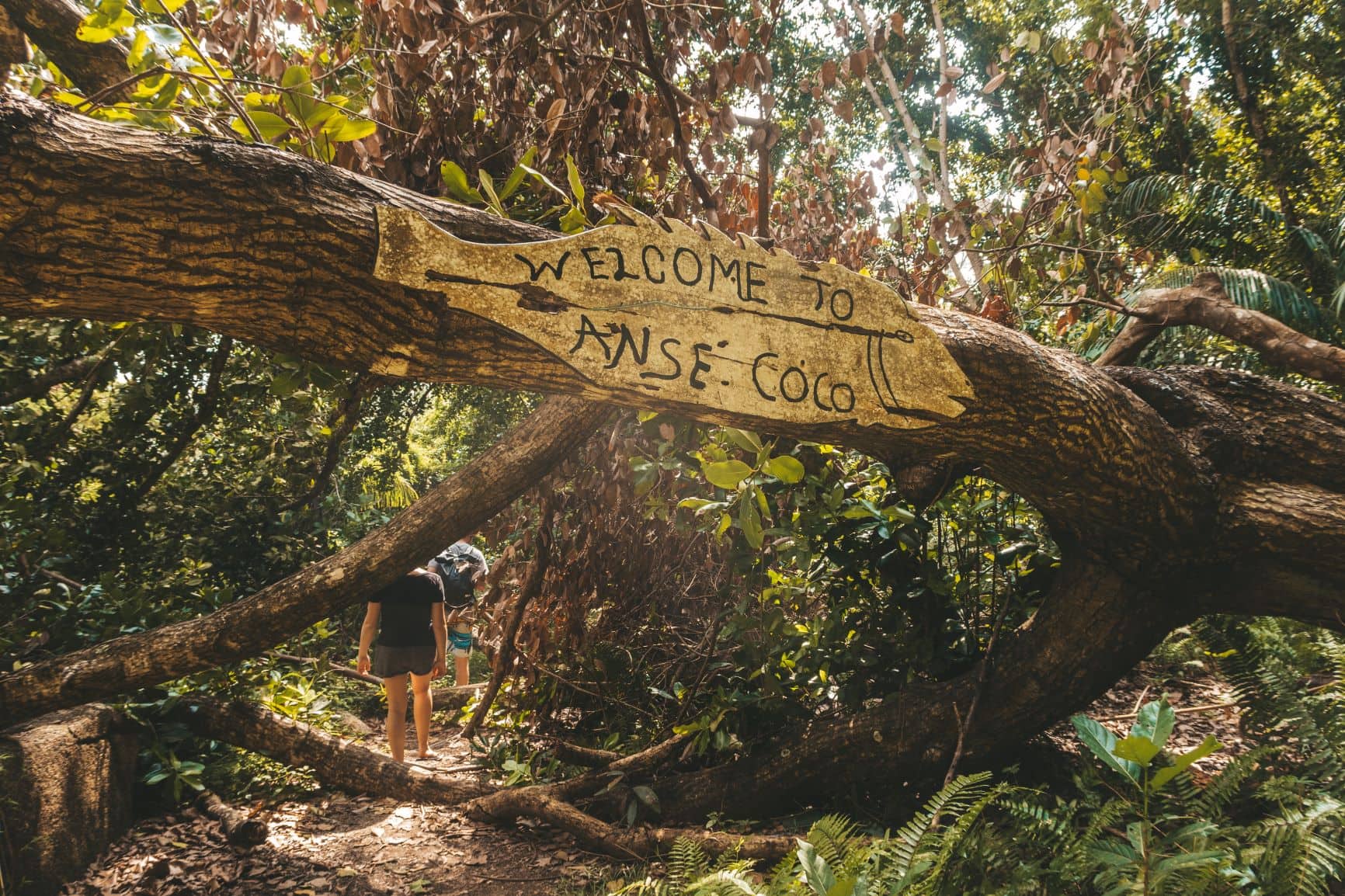 Anse Coco auf Seychellen