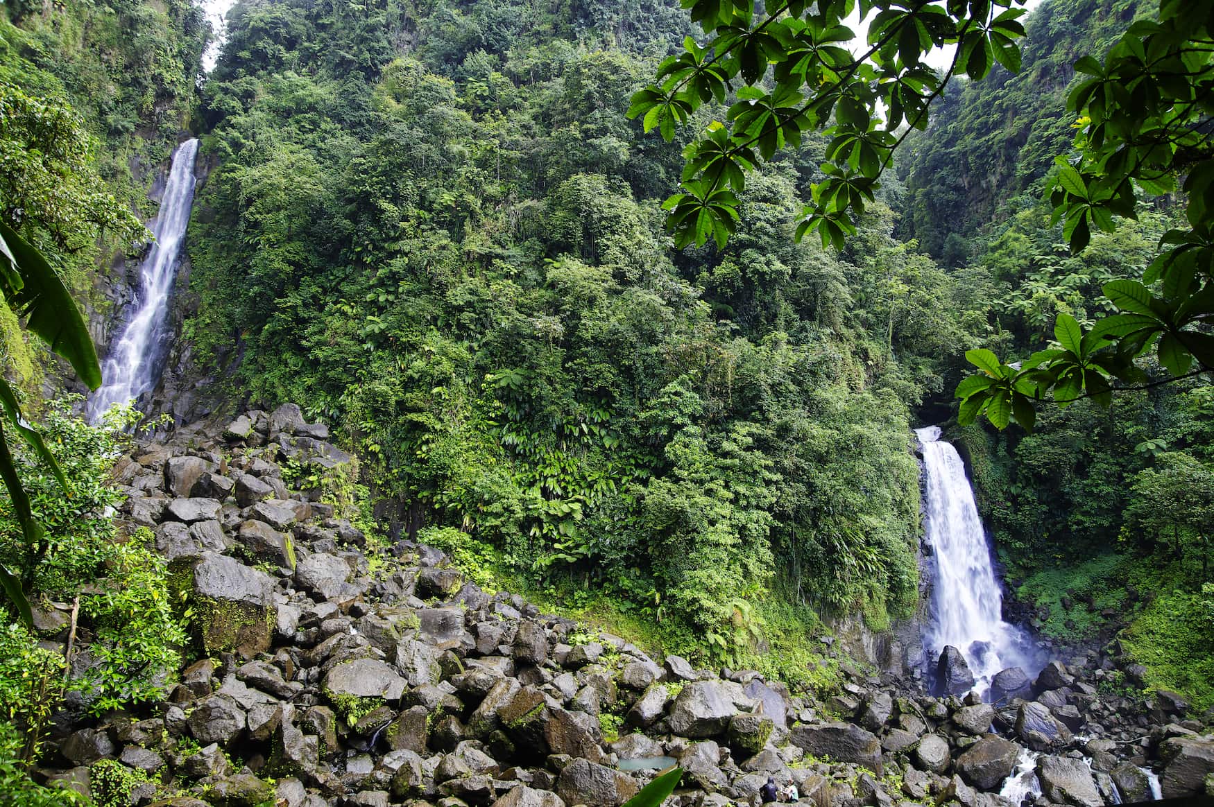 Trafalgar Falls, Morne Trois Pitons Nationalpark (UNESCO Weltkulturerbe), Dominica.