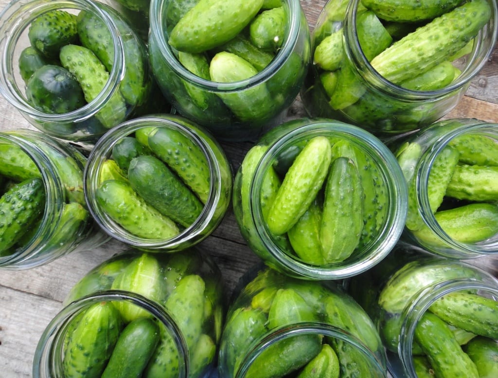 Eingelegte Gurken schmecken im Baltikum am besten frisch und knackig gleich vom Markt.