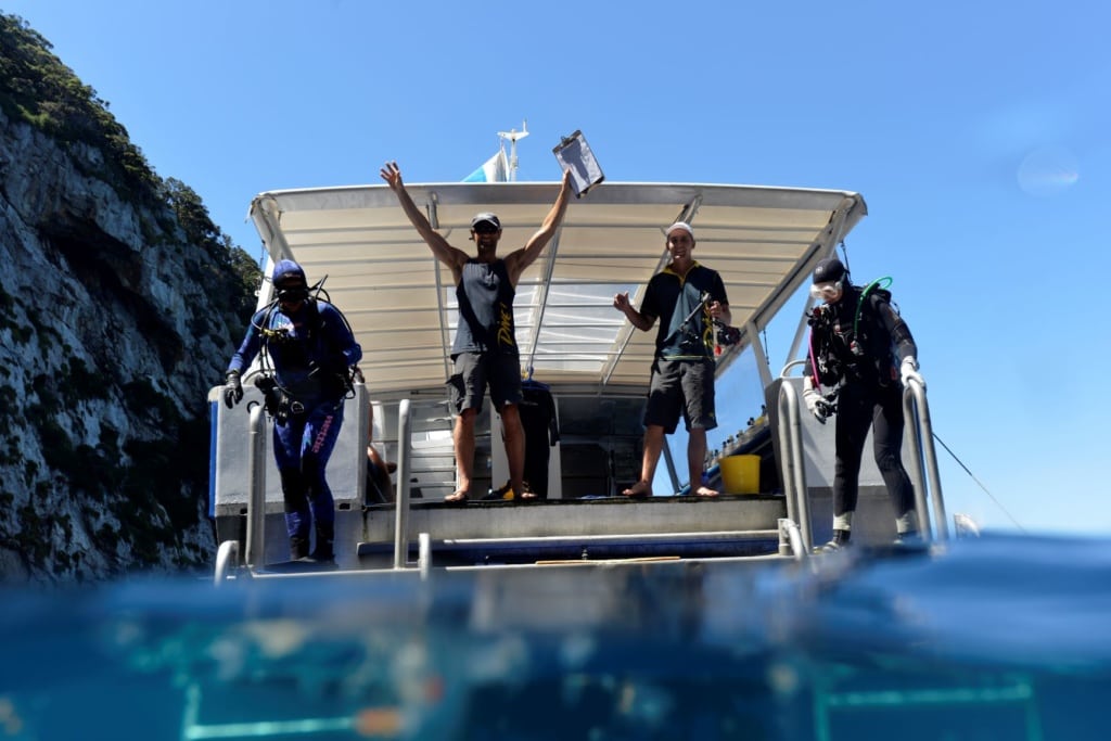 Tauchboot in Poor Knights Islands