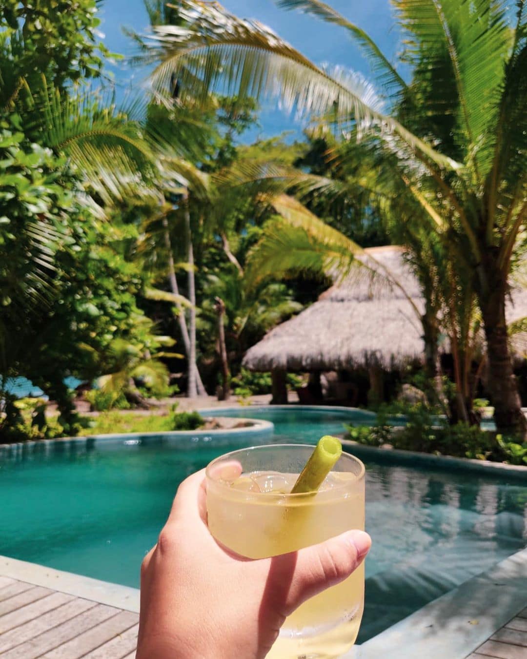 Cocktail im Paradies, und das ohne Plastik-Strohhalm. Auf Isla Palenque verwendet man stattdessen Halme der Papayapflanze. Finden wir super! #islapalenque #panama #visitpanama #passionpassport #mytinyatlas #reportervorort #travel #privateisland #explorepanama @islapalenque @cayugacollection