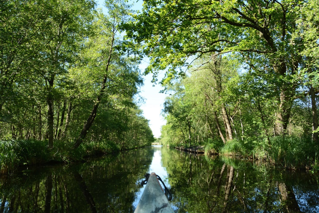 Aussicht aus dem Kanu in Holland