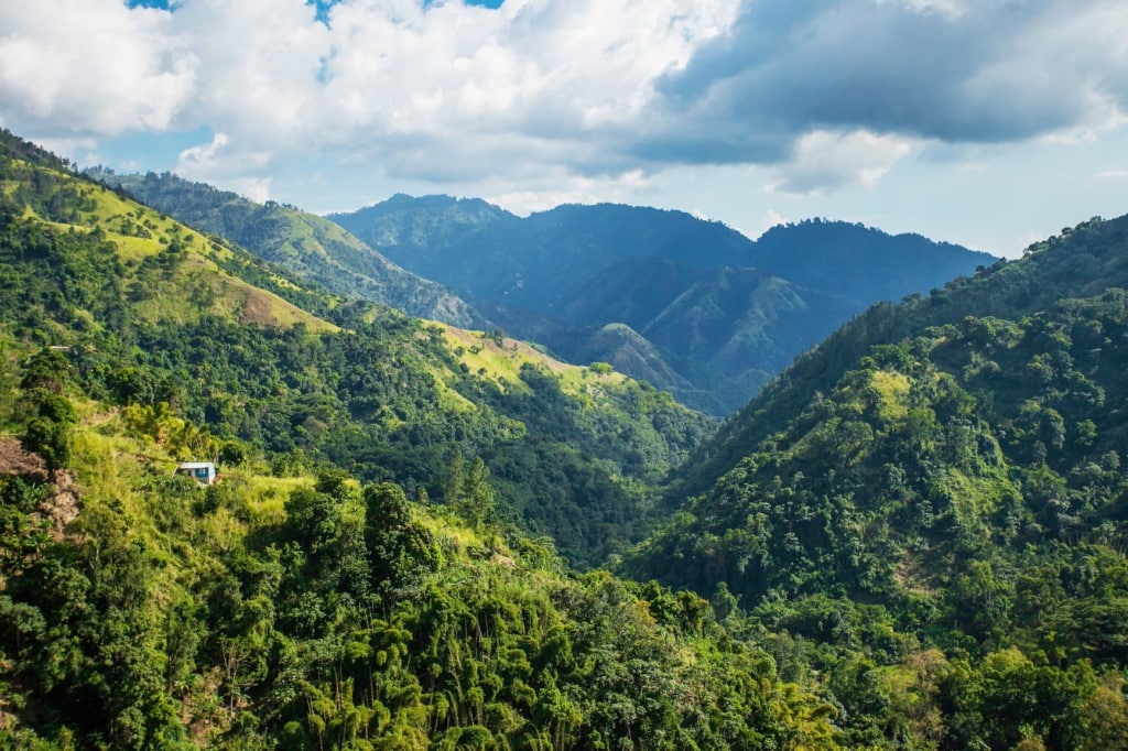 Blue Mountains in Jamaika