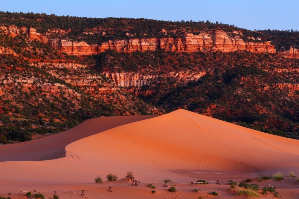 Coral Pink Sand Dunes Utah
