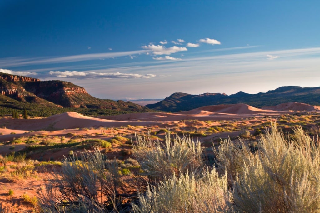 Coral Pink Sanddunes Utah