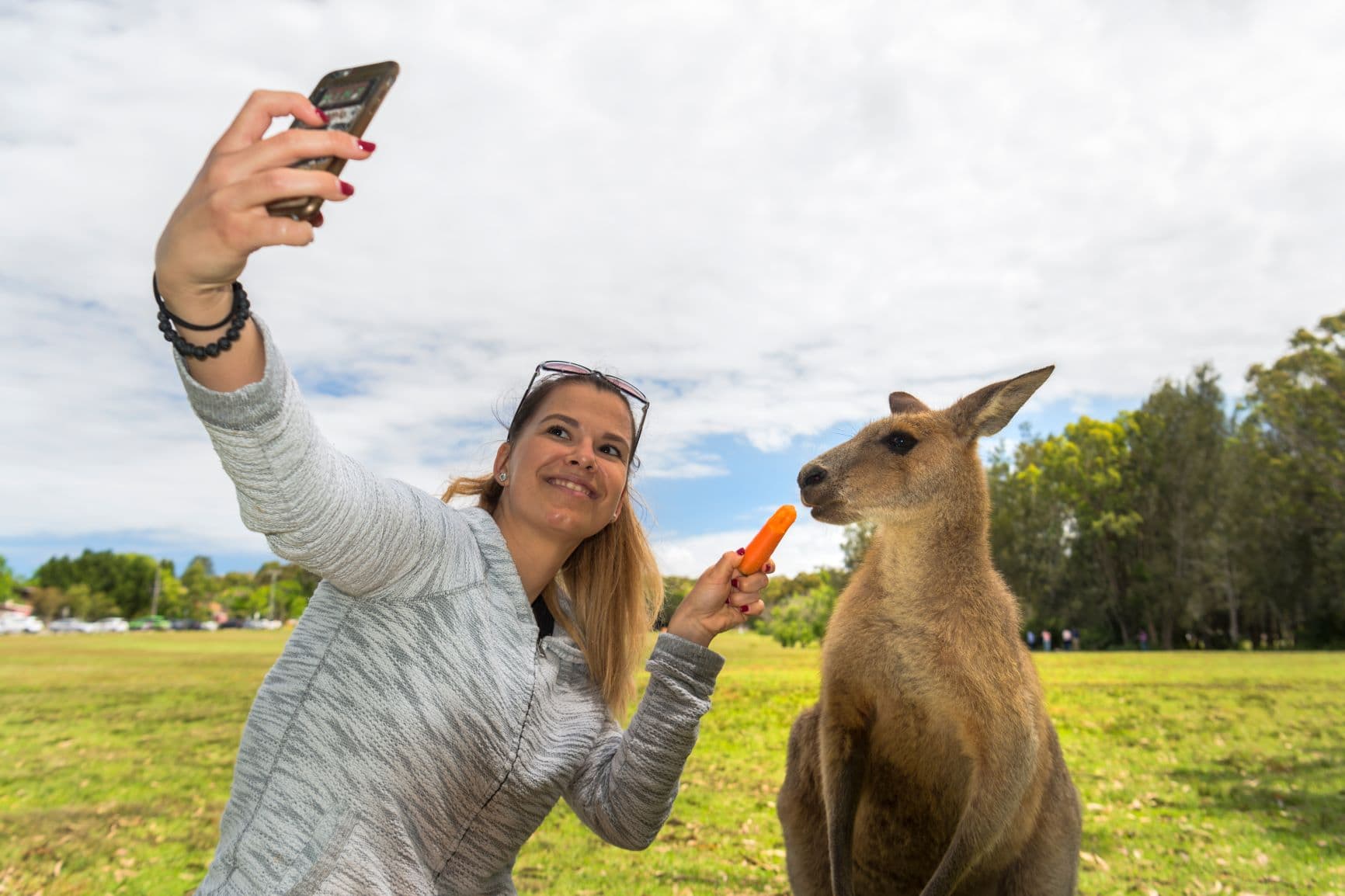 Frau hat Möhre und Handy in der Hand und macht ein Selfie mit Känguru