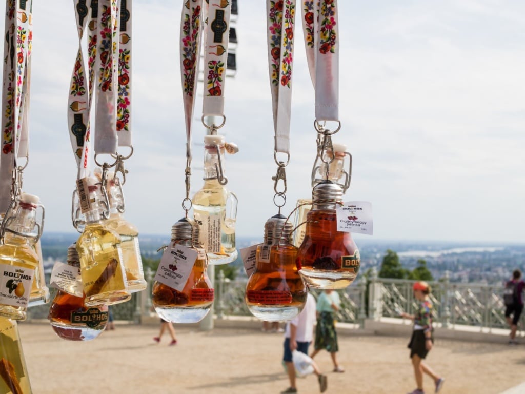 Palinka Souvenir Flaschen Ungarn