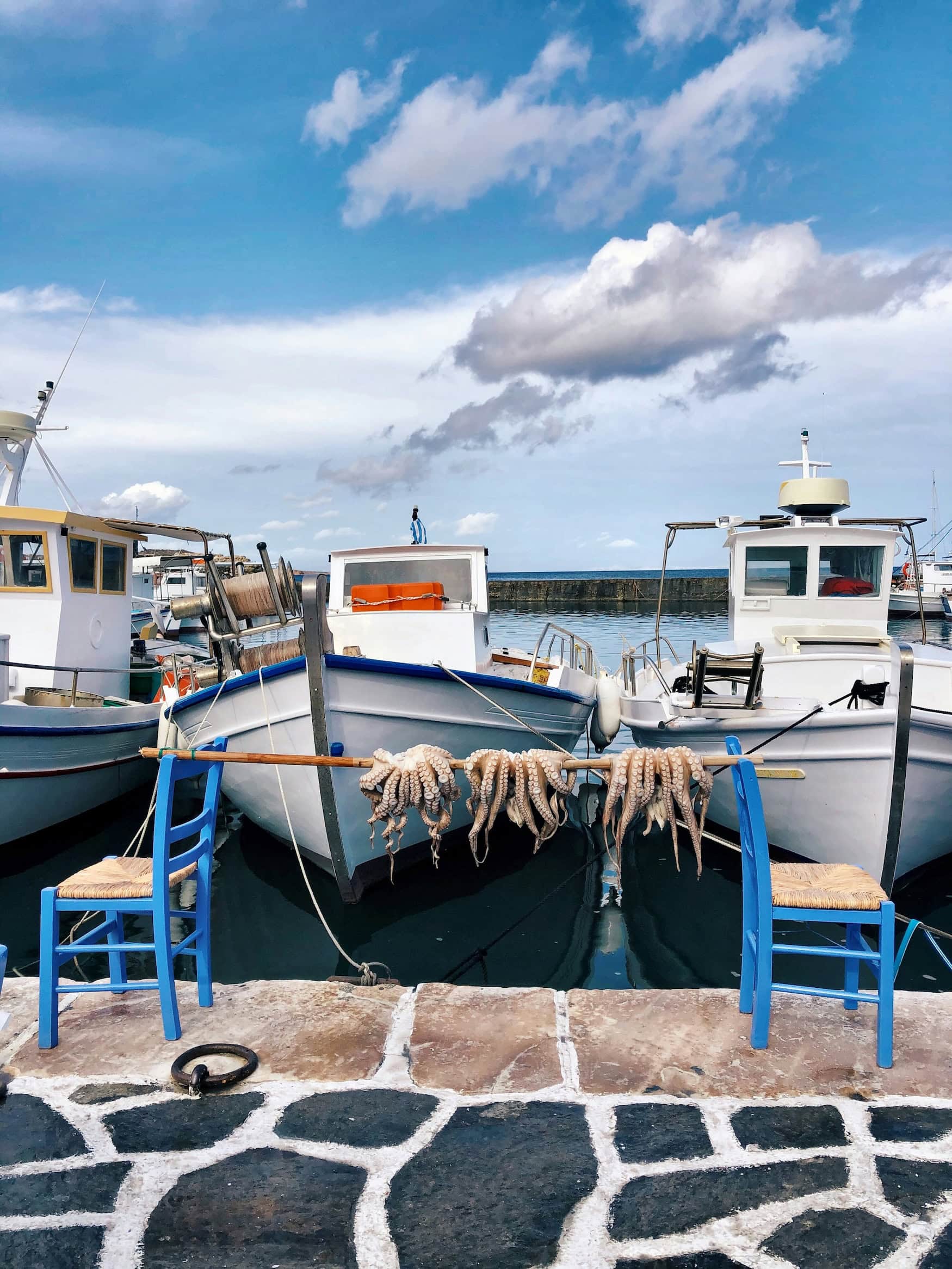 Oktopus an einem Hafen in Griechenland