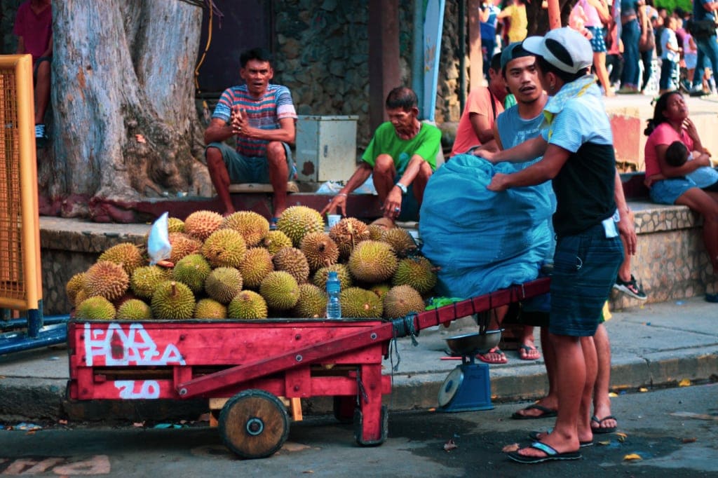 Durian ist auf den Philippinen äußerst beliebt!