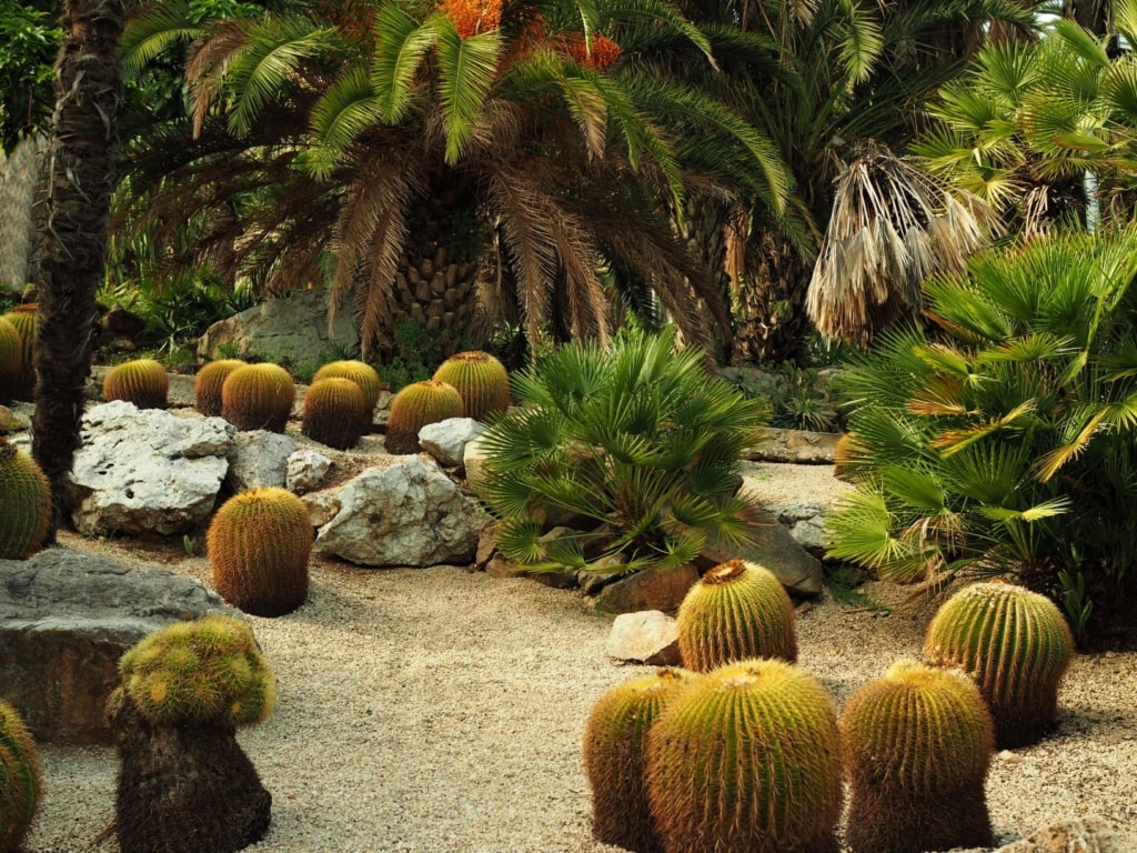 Jardi Botanic in Barcelona