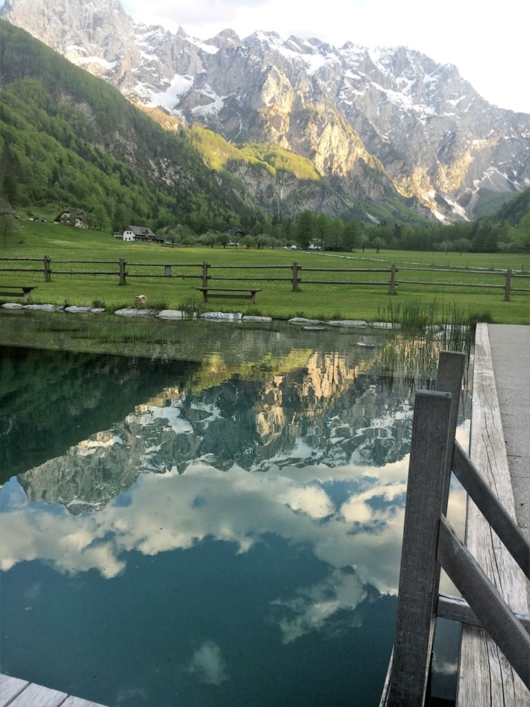 Naturpool Hotel Plesnik
