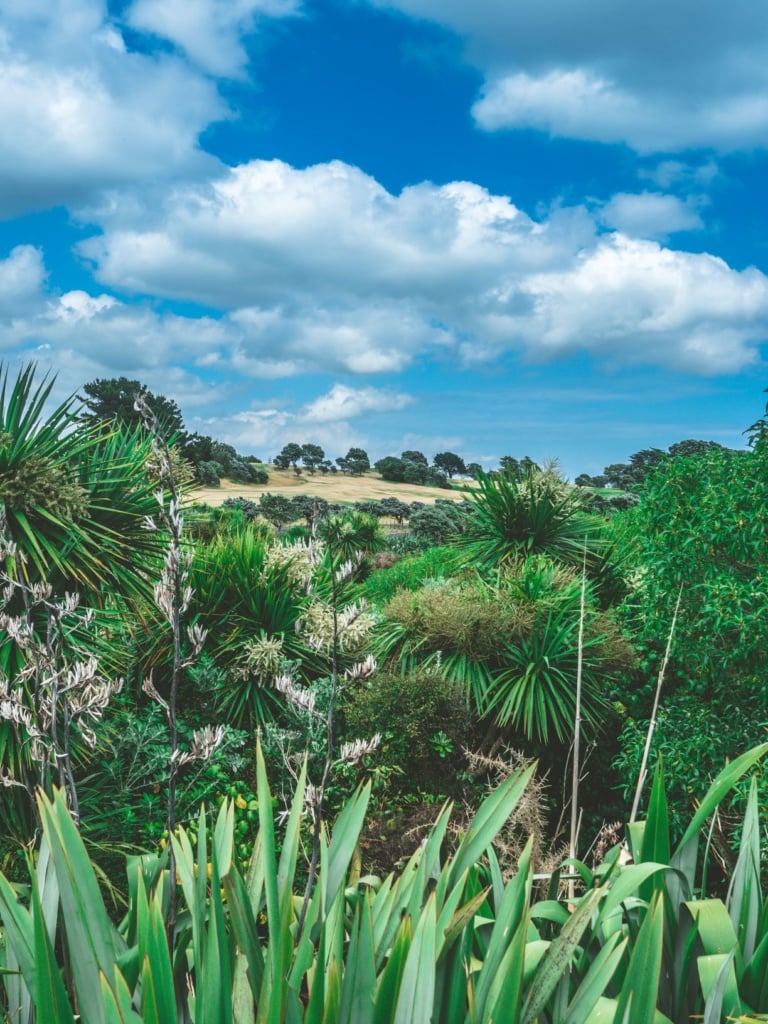 New Plymouth
