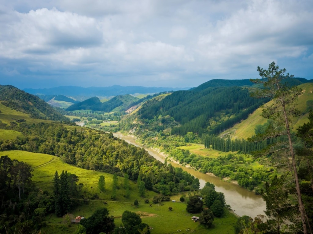 Whanganui River