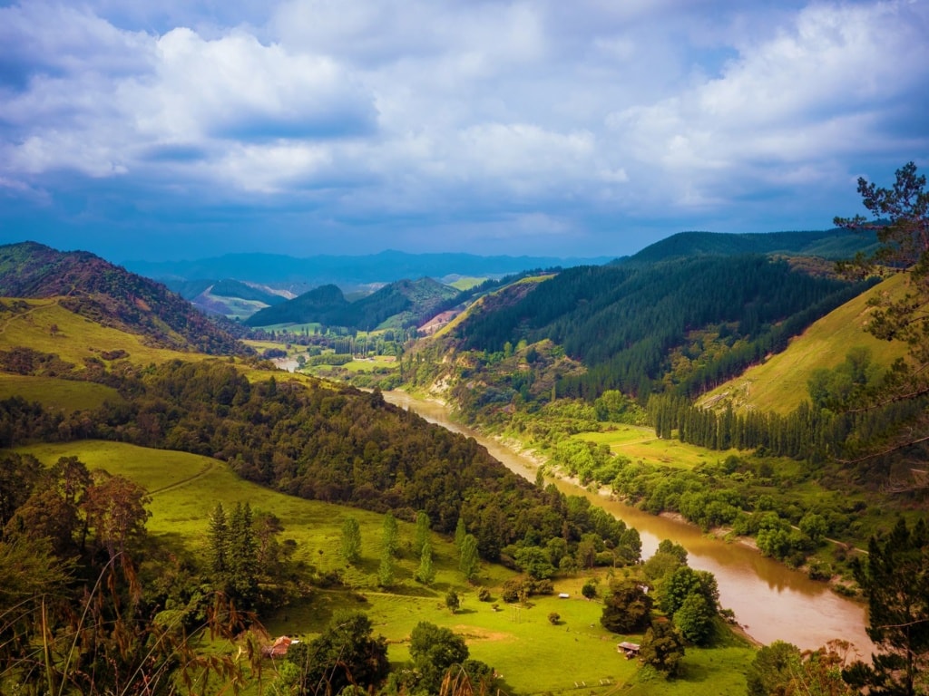Whanganui River Landschaft