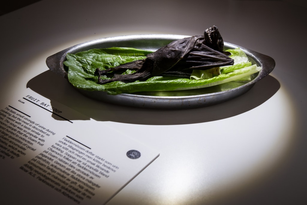 Na guten Appetit – im »Disgusting Food Museum« in Malmö.