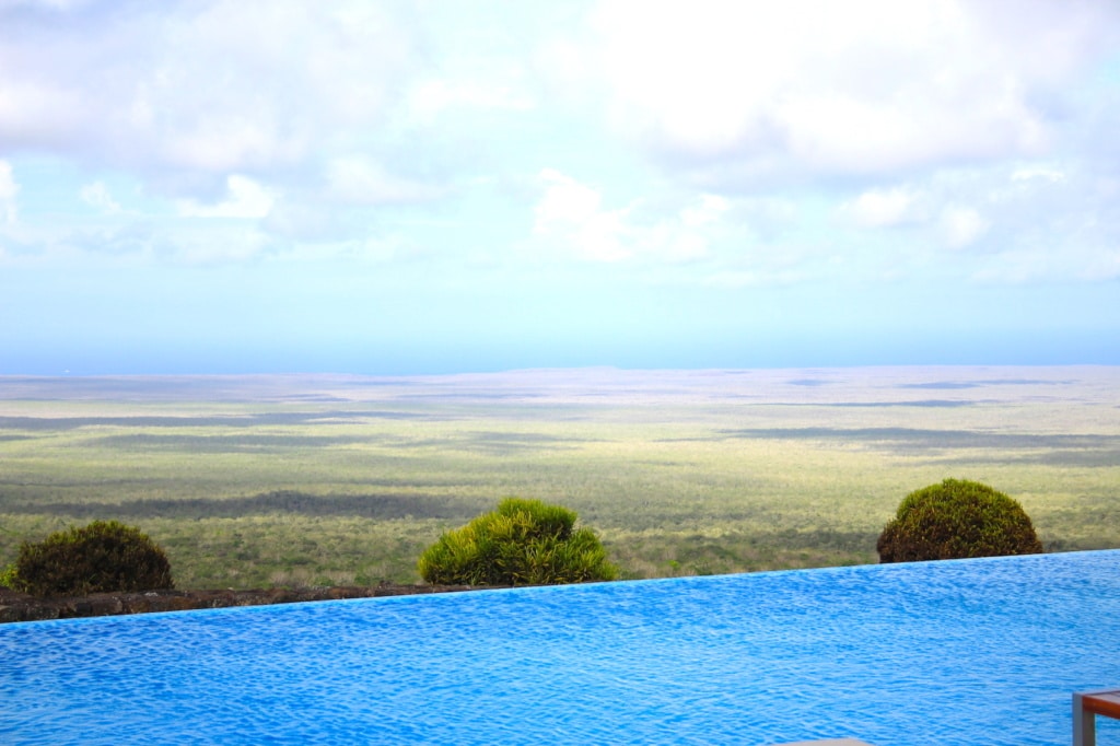 Der Pool in der Pikaia Lodge scheint in die wilder Landschaft der Galapagos zu fließen.