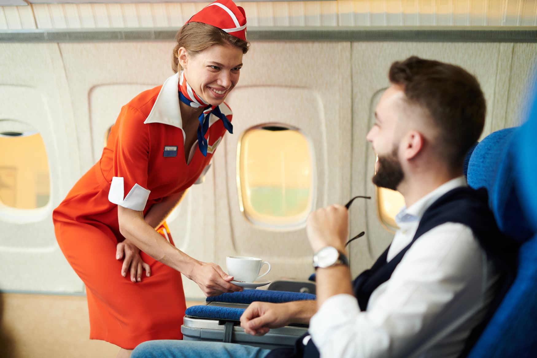 Fliege, Flugzeug, Service