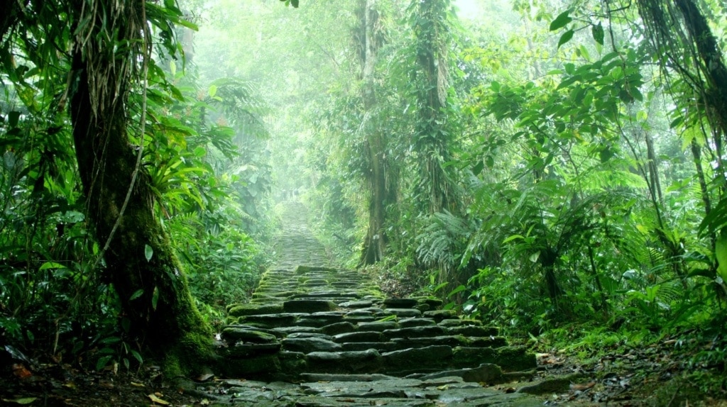 Geheimnisvolle Städte: Treppen zur Ciudad Perdida