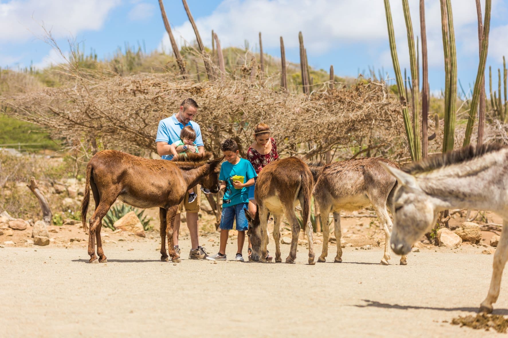 Familie im Eselreservat auf Aruba