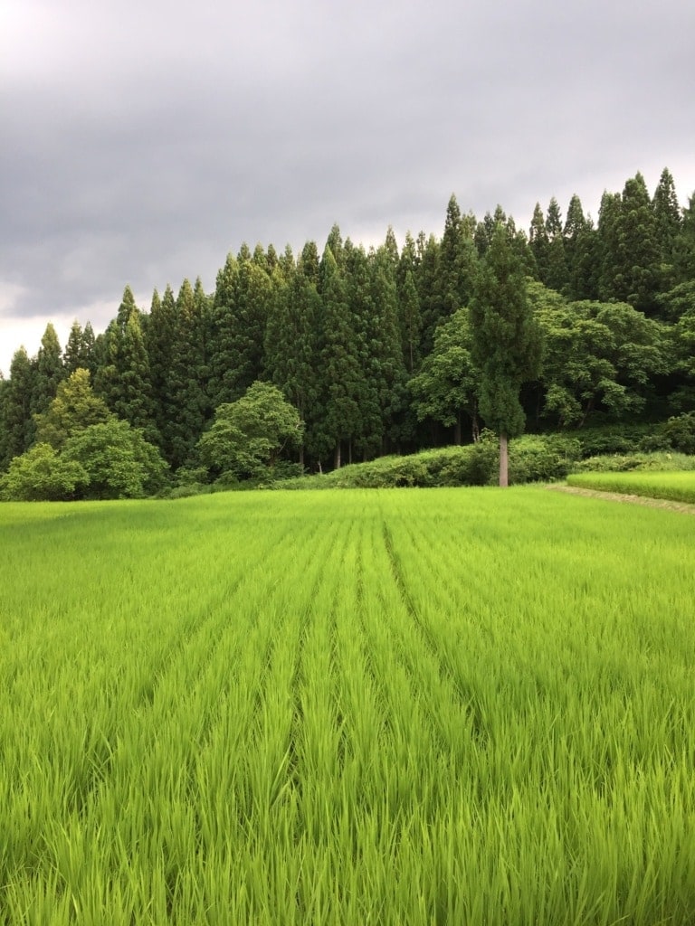 Im Satoyama Jujo in den Japanischen Alpen darf geschlemmt und entspannt werden.