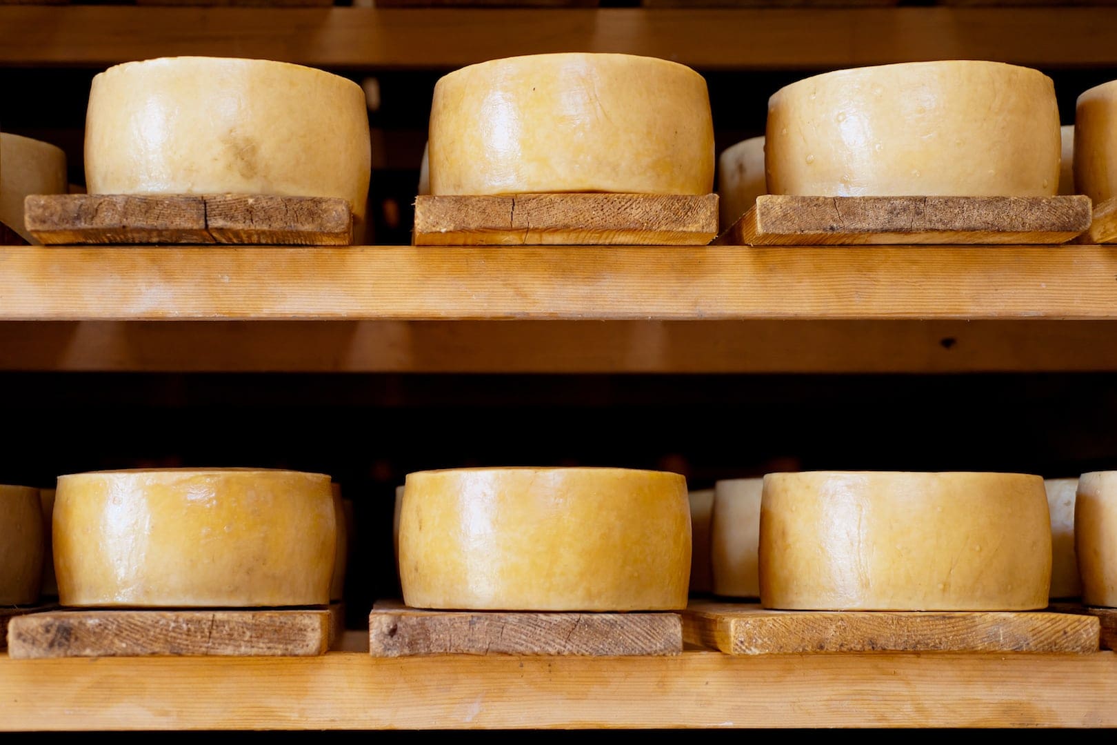 Kroatische Spezialität: Käse von der Insel Tag