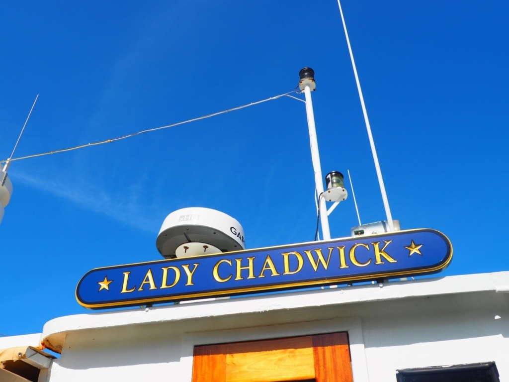 Lady Chadwick
