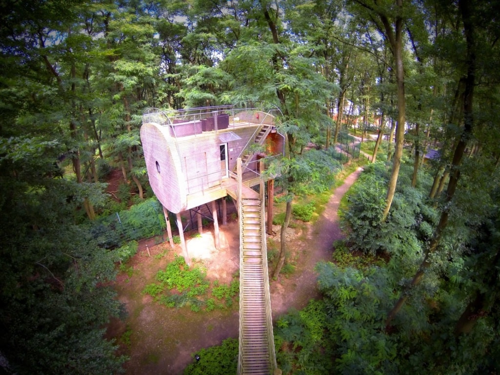 Baumhaus im Tree Inn