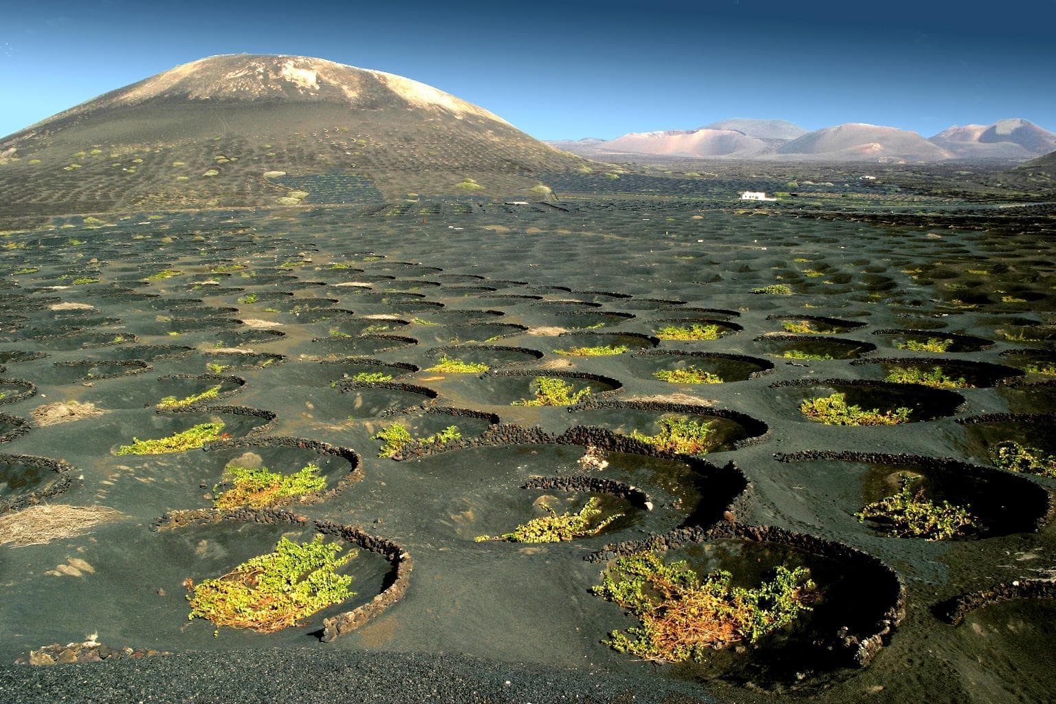 Wanderung durch das Weinbaugebiet La Geria auf Lanzarote