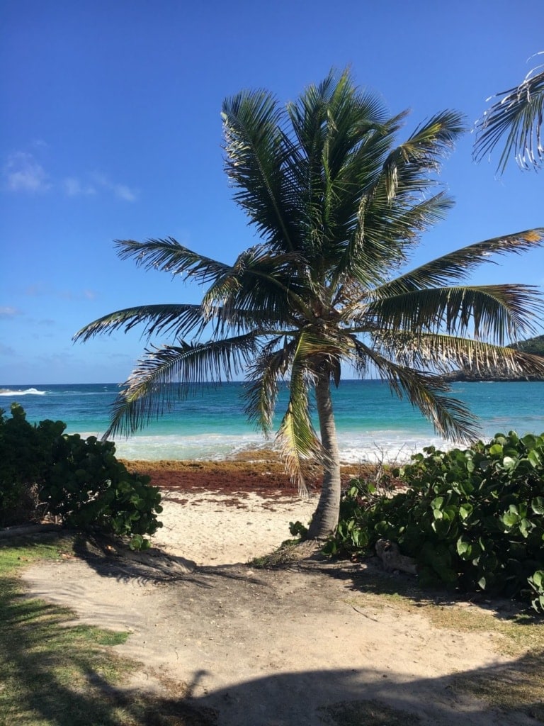 Half Moon Bay Strand auf Antigua