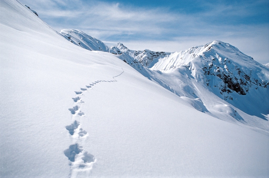 Ein Winterurlaub im Kleinwalsertal wartet mit tollen Erlebnissen in der Natur.