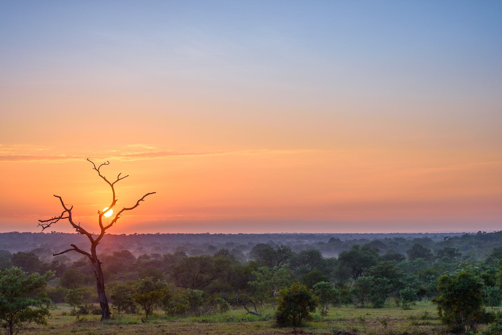 Südafrika, Afrika, Sonnenuntergang, Safari