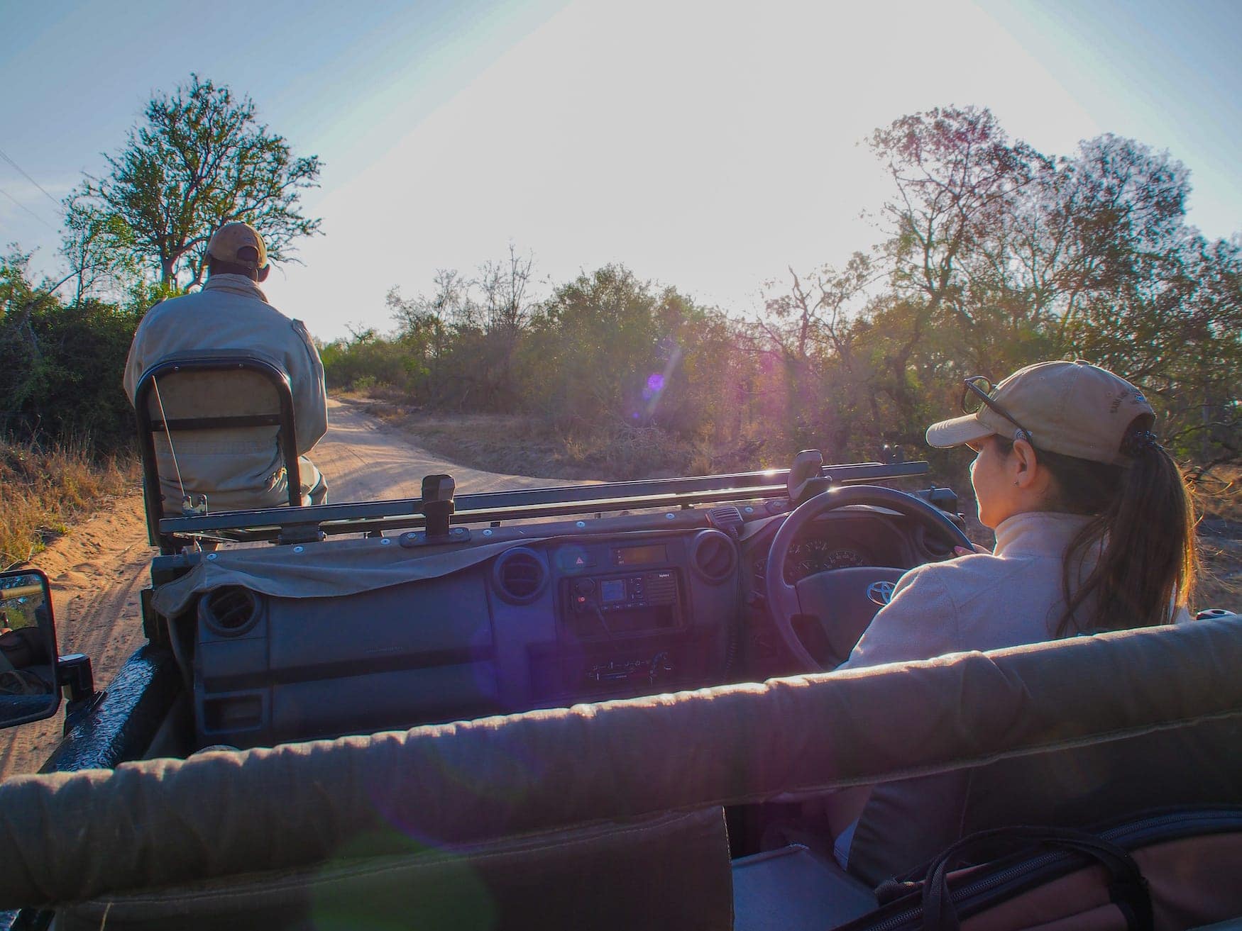 Safari, Jeep, afrika