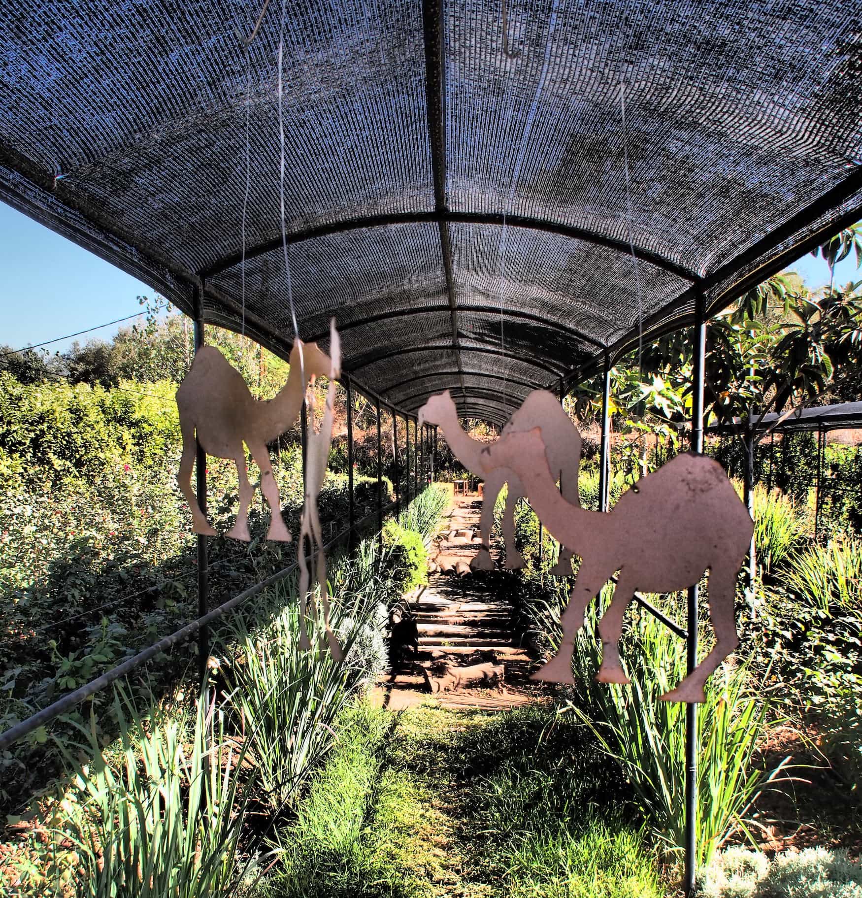 Paradise du safran - Marrakesch - Kreative