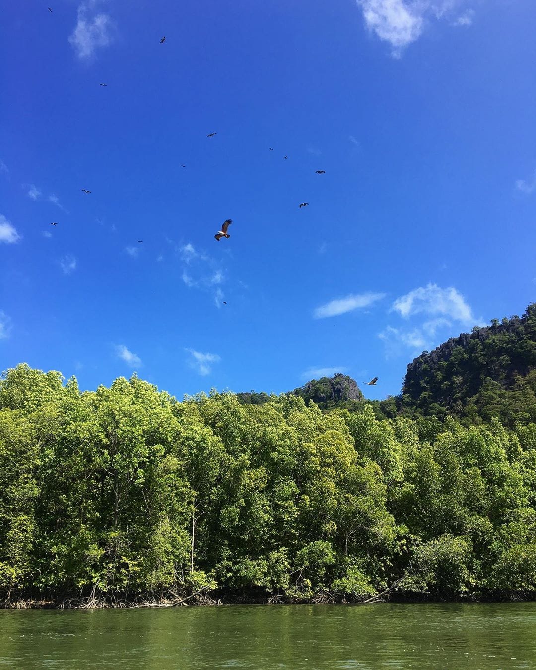 Friedlich kreisen die rotbraunen Adler in der Luft, denen die malaysische Insel Langkawi ihren Namen zu verdanken hat. Das malaysische Wort Lang (Kurzform von helang) bedeutet Adler, kawi leitet sich ab von einem rotbraunen Stein. #langkawi #malaysiatrulyasia #malaysia #travelasia #passionpassport #mytinyatlas #reportervorort #travel #welivetoexplore