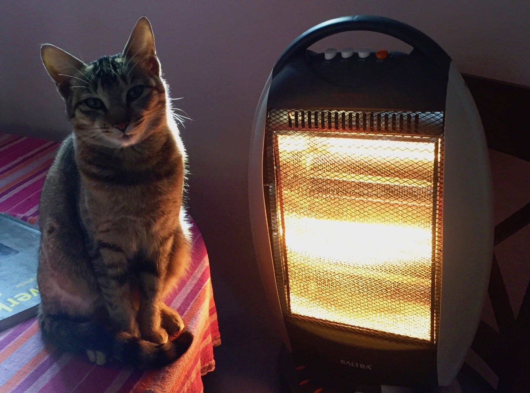 Katze sitzt neben Standheizung in Nepal im Winter