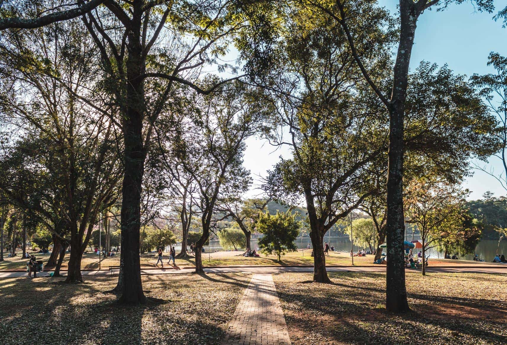 Ibirapuera Park in Sao Paulo, Brazil